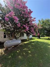 461 County Road 35950 - Photo 2