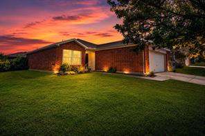 1219 Eagles Nest Trail - Photo 1