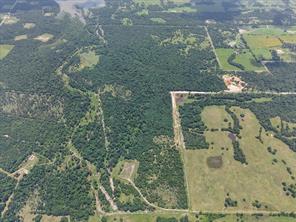 508 Acres LCR 800 - Photo 10