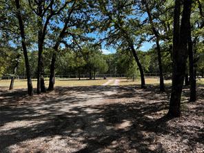 6070 County Road 4068 - Photo 3