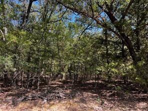 6070 County Road 4068 - Photo 33