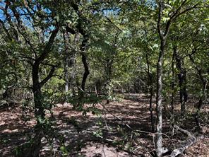 6070 County Road 4068 - Photo 34