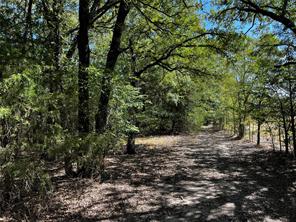 6070 County Road 4068 - Photo 39