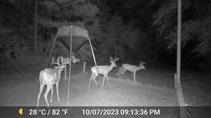 00 County Road 448 - Photo 12