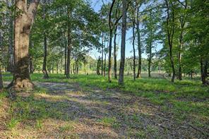 00 County Road 448 - Photo 19