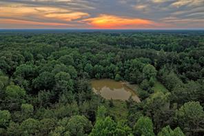 00 County Road 448 - Photo 3