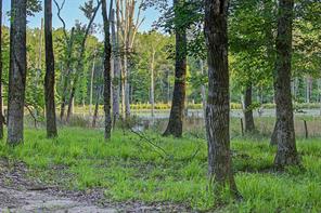 00 County Road 448 - Photo 31