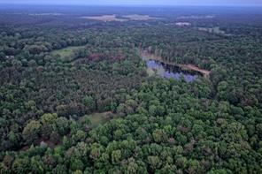 00 County Road 448 - Photo 40