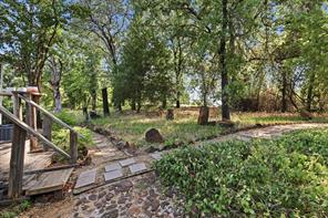 6901 Hawk Road - Photo 11