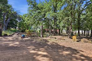 6901 Hawk Road - Photo 6