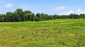 3624 County Road 398 - Photo 33