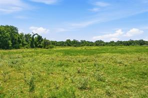 3624 County Road 398 - Photo 34