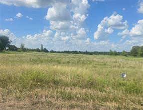 Lot #10 Blueberry Hill Road - Photo 1