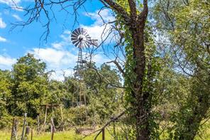 10723 County Road 539 - Photo 4