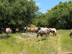10723 County Road 539 - Photo 5