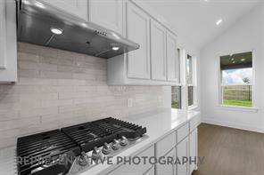 728 Sagebrush Trail - Photo 8