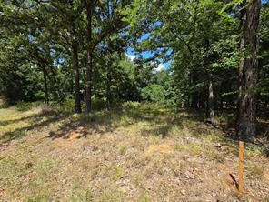0 Hickory Street - Photo 1