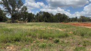 1175 Gonzollas Road - Photo 1
