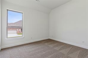 117 Swan Lake Drive - Photo 22