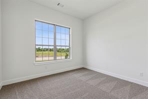 117 Swan Lake Drive - Photo 24
