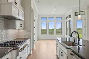 117 Swan Lake Drive - Photo 9
