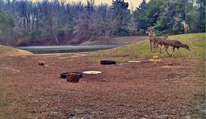 919 Harrell Road - Photo 5