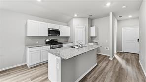 10625 DIAMOND MINE Drive - Photo 3