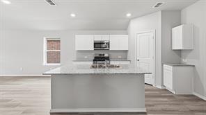 10625 DIAMOND MINE Drive - Photo 4