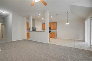 6000 Stirrup Iron Drive - Photo 11