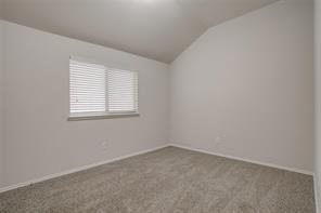 6000 Stirrup Iron Drive - Photo 17