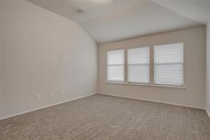 6000 Stirrup Iron Drive - Photo 21