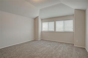 6000 Stirrup Iron Drive - Photo 23