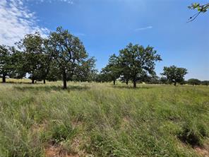2251 Fm 585 - Photo 19