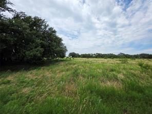 2251 Fm 585 - Photo 30