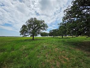 2251 Fm 585 - Photo 35