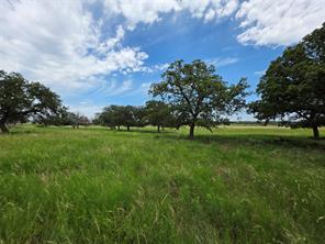 2251 Fm 585 - Photo 36