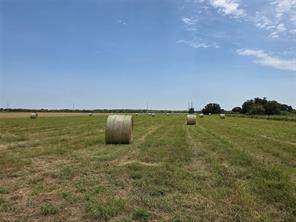 2251 Fm 585 - Photo 6