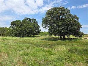 2251 Fm 585 - Photo 7
