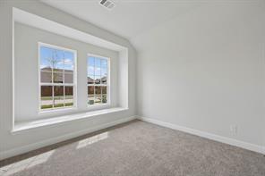 707 Cherry Bark Trail - Photo 4