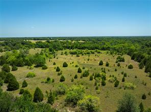 16.6 acres Prichard Road - Photo 10