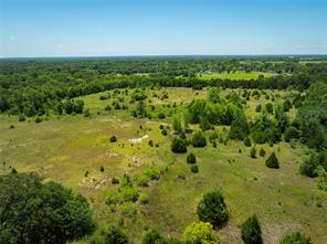 16.6 acres Prichard Road - Photo 11