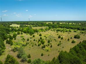 16.6 acres Prichard Road - Photo 9