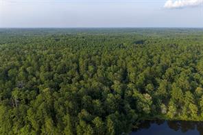 00 County Road 2136 - Photo 1