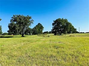 12817 State Highway 36 E - Photo 1