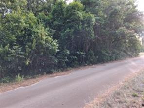 tbd Chapparal Run - Photo 1