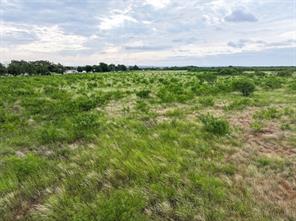 115 Badger Den - Photo 5