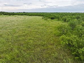 115 Badger Den - Photo 8