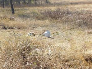 233 Hcr 3315 - Photo 30