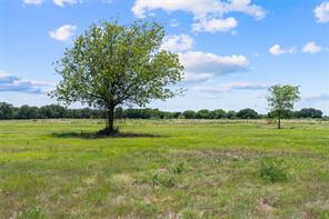Lot 4 Lakewood Drive - Photo 3