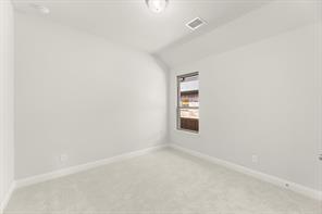 2628 Cone Flower Street - Photo 10